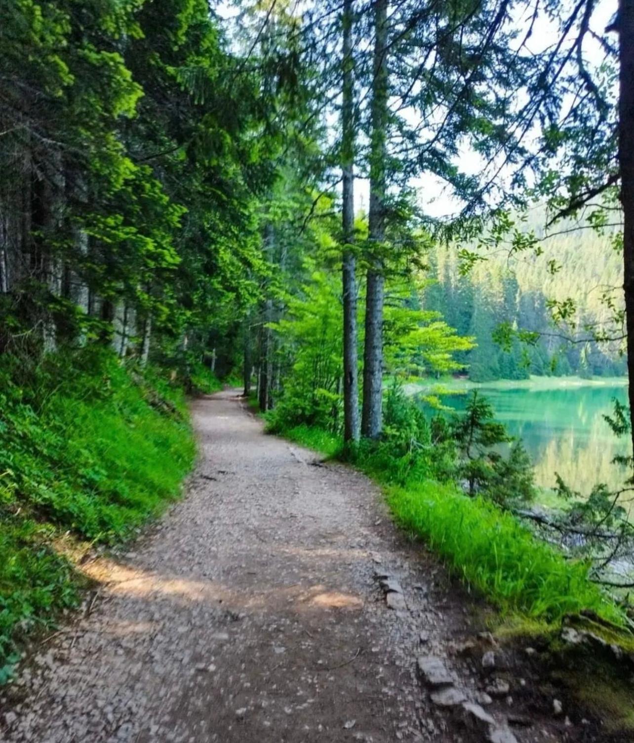 A Frame Houses Ans Zabljak Kültér fotó